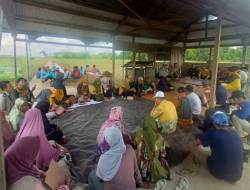 Kementan Masifkan Genta Organik Melalui Farmer Field Day di Kalimantan Selatan