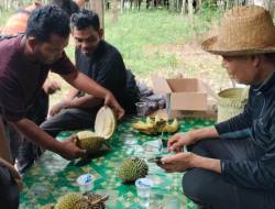 Tiga Jenis Makanan Dianjurkan Tidak Dimakan Bersamaan Dengan Durian