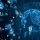 Unlocking Business Growth: A Comprehensive Guide to Digitalization and Its Impact on Efficiency and Innovation
