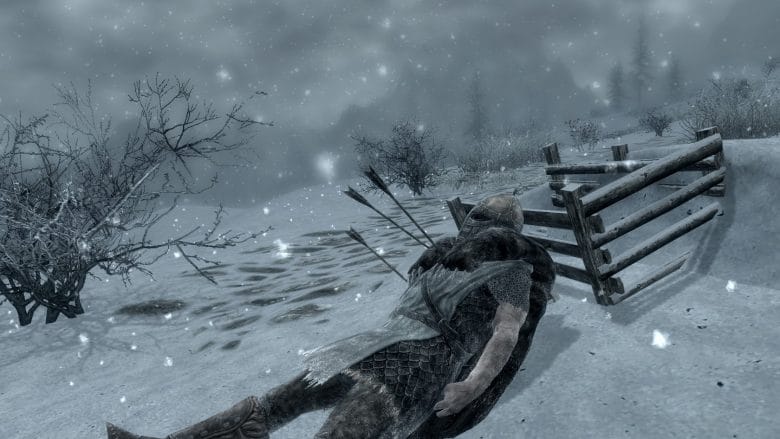 Skyrim special edition wet and cold