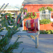 We'll tell you where to buy a christmas tree with even the busiest lifestyle. Kelco Industries Wreath Making Supplies Christmas Tree Supplies