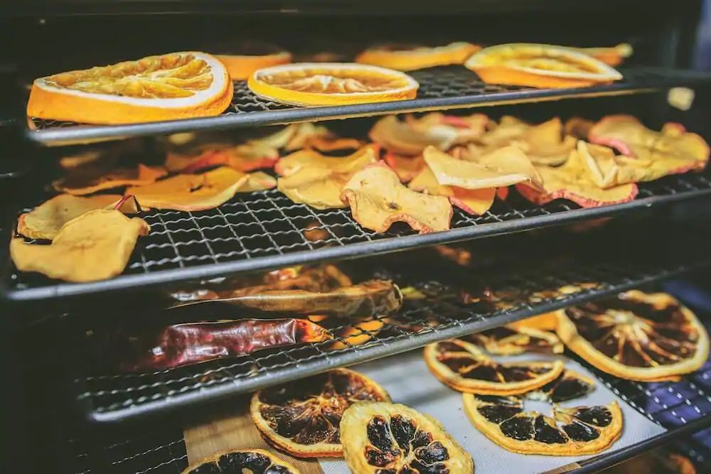 drying fruit in the oven Kellogg Garden Organics™ jpg (1000x667)
