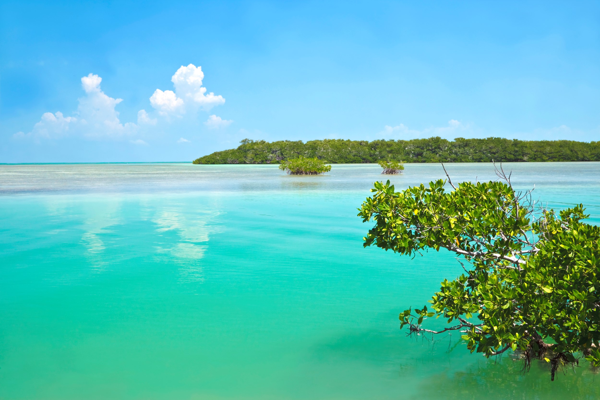 Crane Point