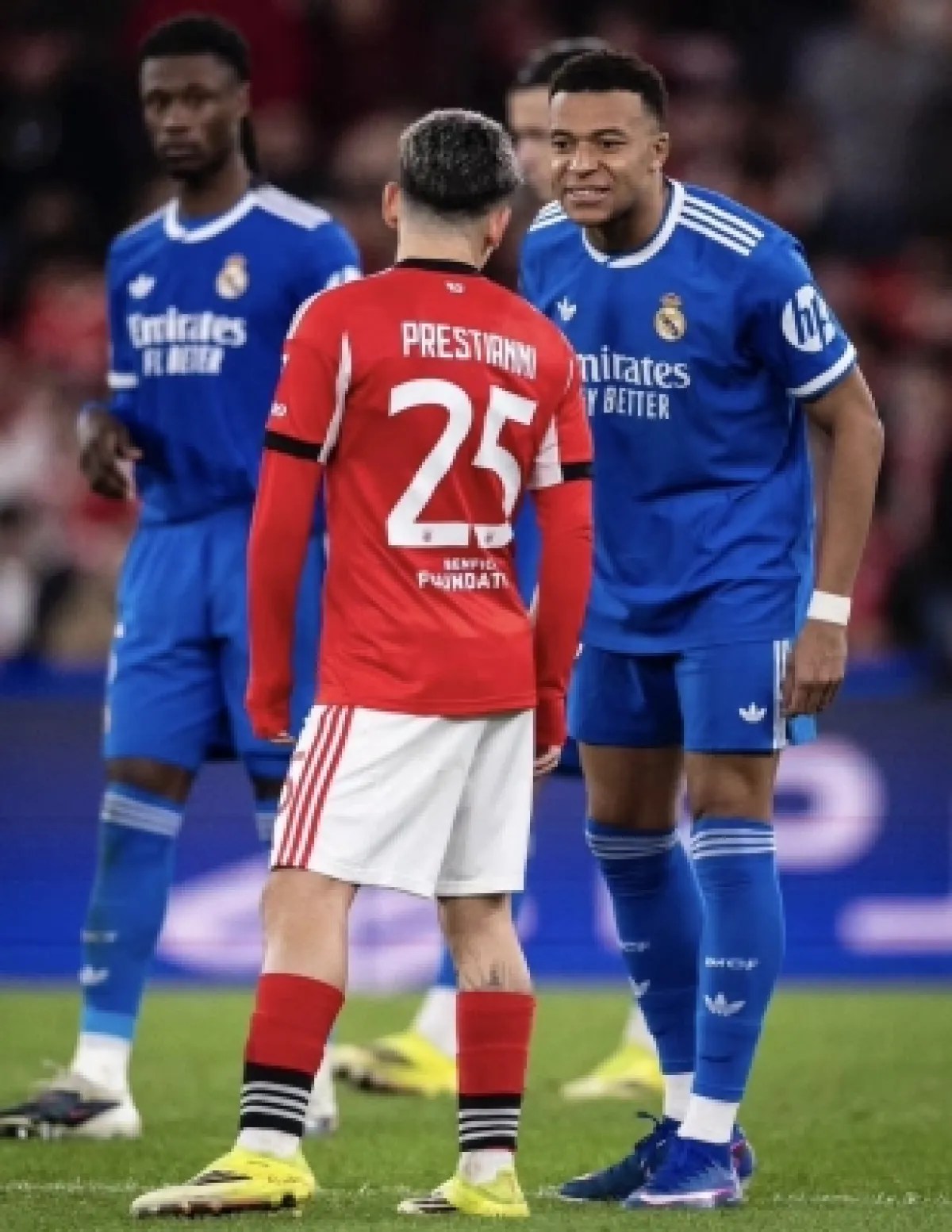 بنفيكا يدعم بريستياني بعد اتهامه بإهانة فينيسيوس.. والتحقيقات جارية بنفيكا يدعم بريستياني بعد اتهامه بإهانة فينيسيوس.. والتحقيقات جارية