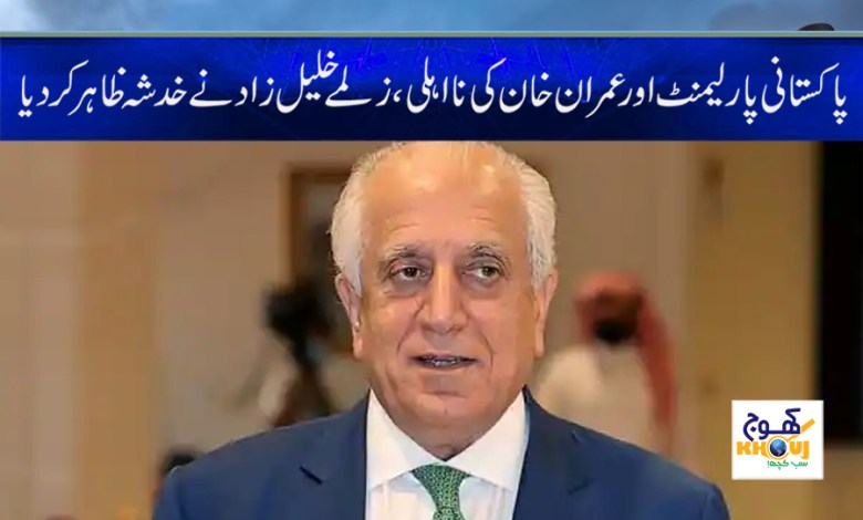 Zalmay Khalilzad Statement in Urdu