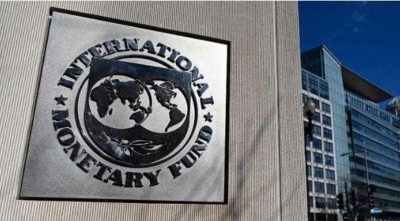 imf report