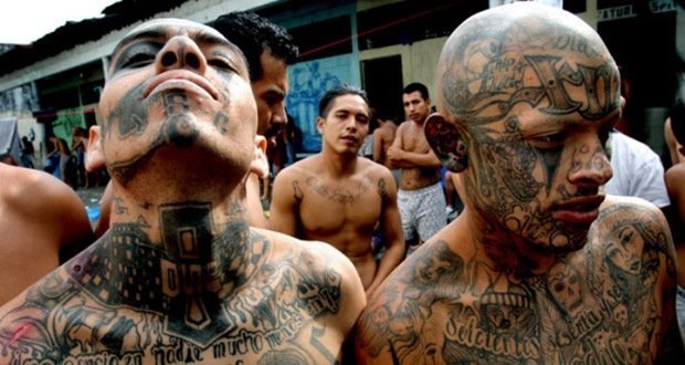 10 Most Dangerous Gangs On Earth | Kickassfacts.com 330_x_620_jpg