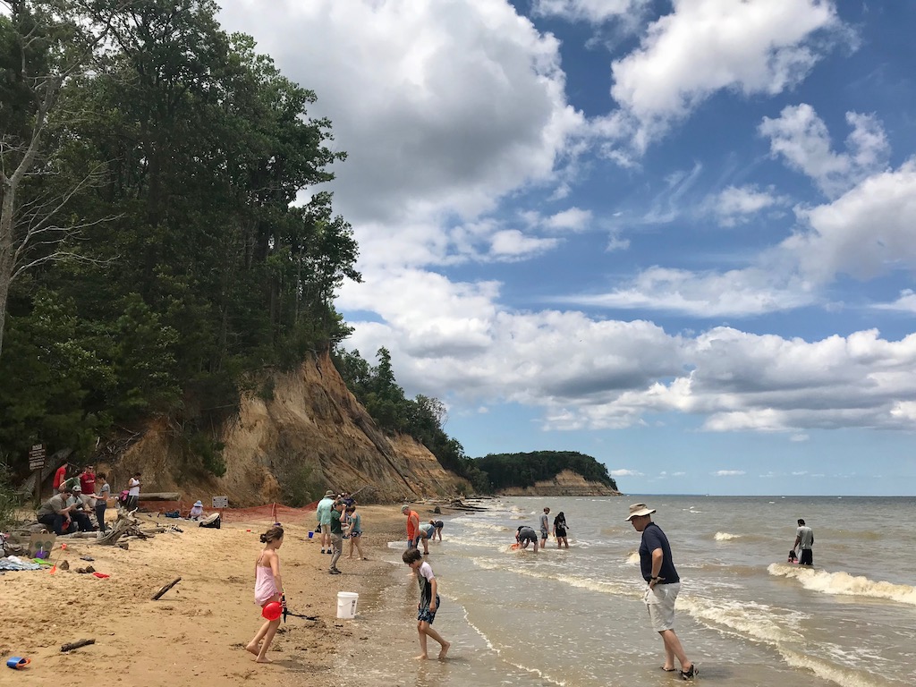 5 Places for Shark Tooth Hunting Adventures Near the DC Area