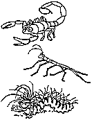 bugs coloring printables for kids ladybugs beetles and more