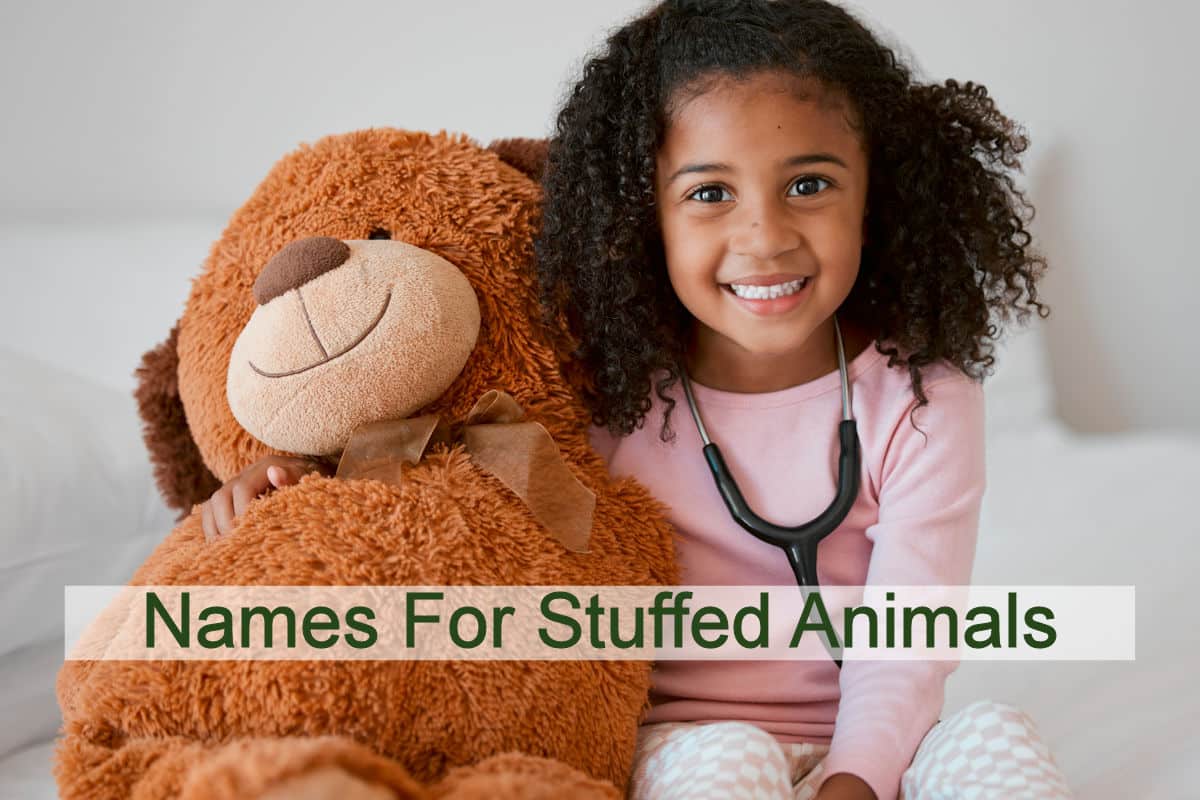 233 names for stuffed animals (which your kids will love)