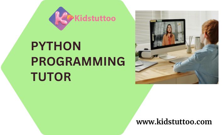 Sii Il Tuo Tutor Di Python Java Coding Programmazione E Github - Best Minimal Illustrations in HD