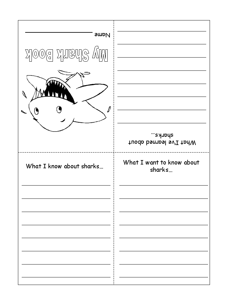 shark activity sheet my shark book