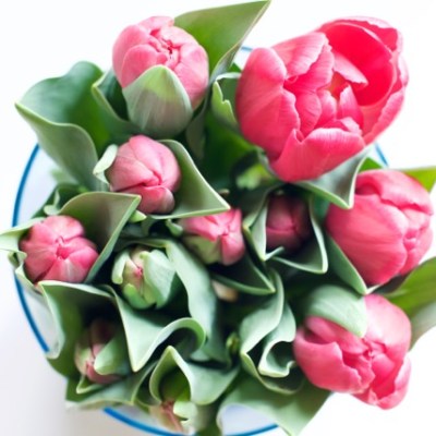 Five Steps to Living More Creatively