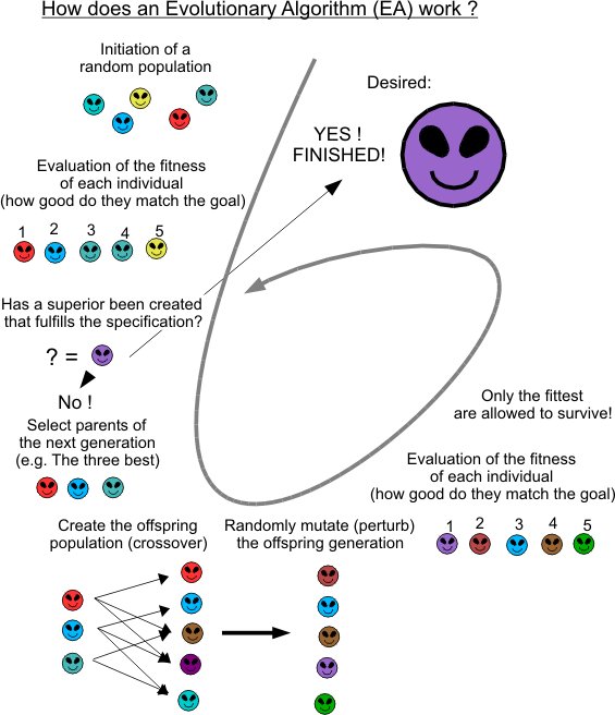 Evolutionary algorithms
