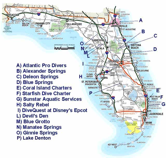 Discover The Vibrant Underwater Delights Of South Florida Kirk Scuba FloridaMap 