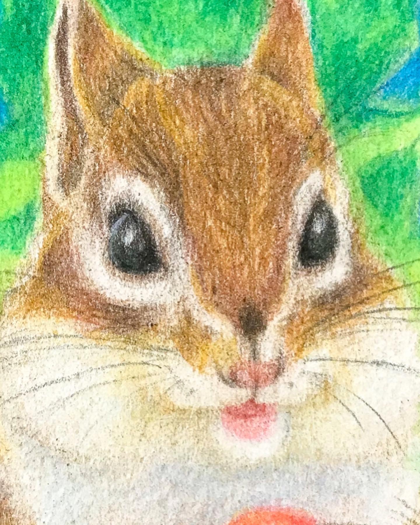 水彩画 原画 栗鼠 水彩画 原画 栗鼠