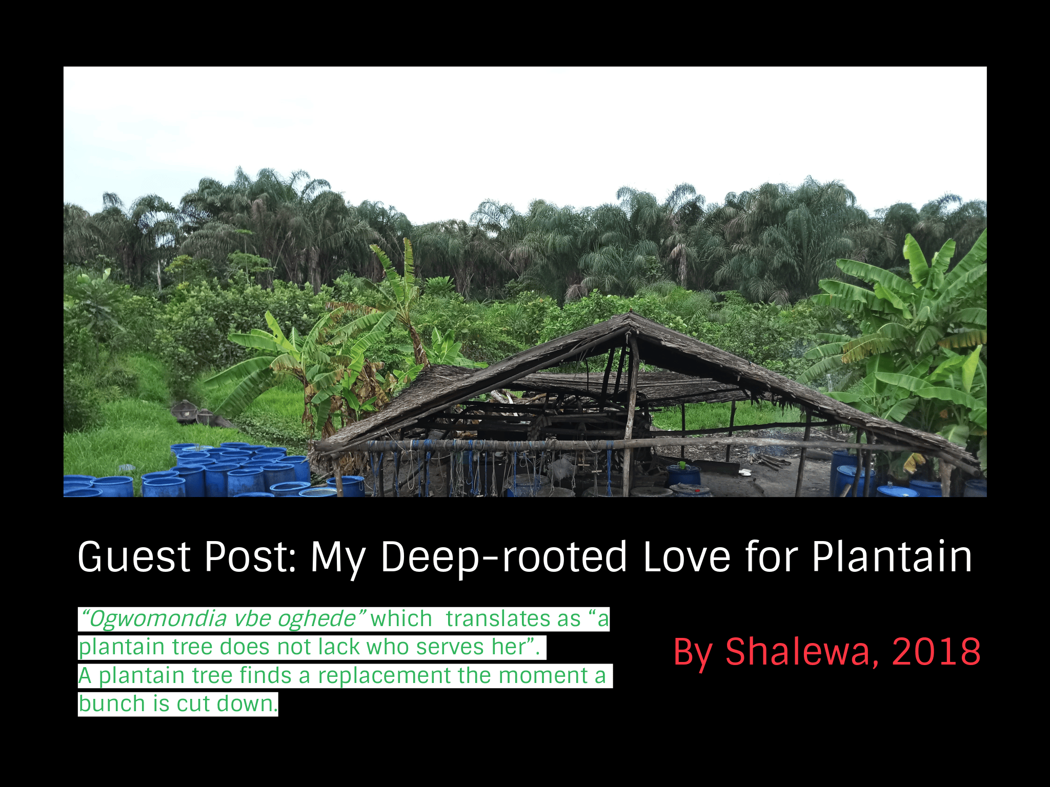Guest Post: My Deep-rooted Love for Plantain