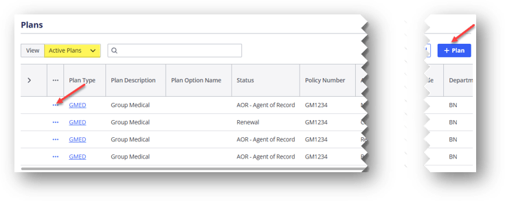 Plans in Detailed Client Information Section