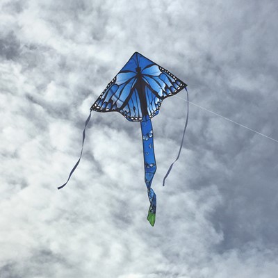 Alternative view of 45'' Blue Butterfly Swarm Fly-Hi Delta Kite