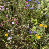 3586690D-7668-4681-945F-283F320895C5 3586690D-7668-4681-945F-283F320895C5