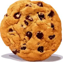 Huge Chocolate Chip Cookie