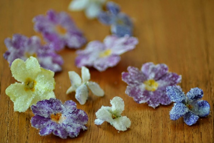 Eetbare bloemen -viooltjes en primula's- konfijten Eetbare bloemen viooltjes en primula's konfijten