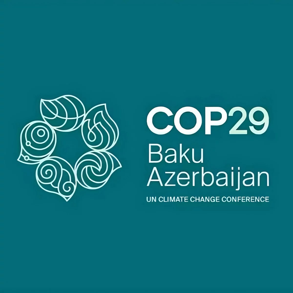 Cop 29