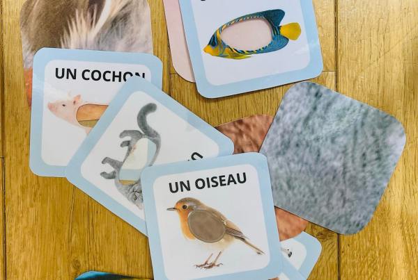 Activité sur les animaux pour enfant