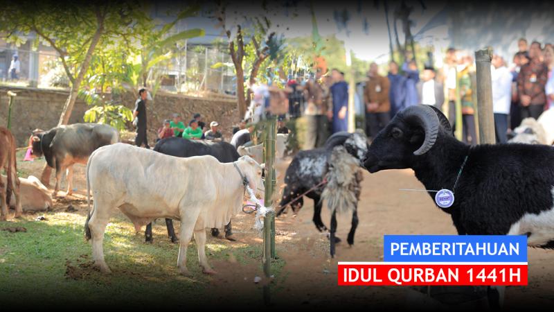 Kumpulan gambar tentang surat pemberitahuan kurban, klik untuk melihat koleksi gambar lain di kibrispdr.org. Pemberitahuan Idul Qurban 1441 Hijriah Krida Nusantara