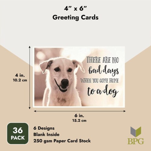 Join host tim crawford for compelling disc. Motivational Quotes Greeting Cards With Envelopes Dog Designs 4x6 In 36 Pack Pack Kroger