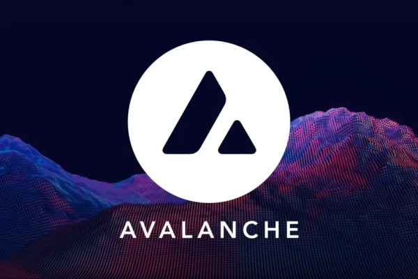 Avalanche Foundation plans $1 billion treasury expansion in the US Avalanche Foundation plans $1 billion treasury expansion in the US