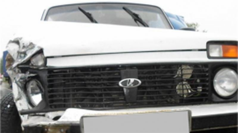 Компания tessa (тесса), тоо на bizorg.su, id 6081144. Vospitanniki Detskogo Doma Pobyvali Na Ekskursii V Botanicheskom Sadu Almaty Ktk