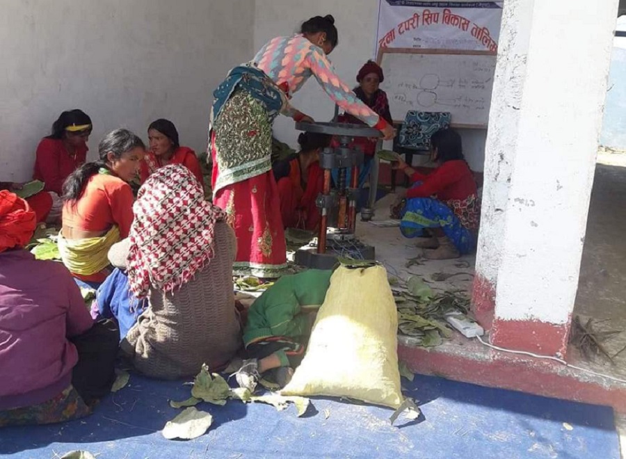 दुनाटपरी बनाएर आत्मनिर्भर बन्दै नवलपरासीका महिला