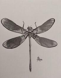 Hand Gezeichnete Niedliche Insekten Gekritzel Fliegender Schmetterling Und Kafer Bunte Fruhlingsinsekten Zeichnen Schmetterlinge Und Kafer Illustration Ikonen Gesetzt Insektenfauna Buntes Wildes Fruhlingstier Premium Vektor