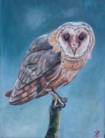 Zhaoshop Olgemalde Eule Serie Malen Nach Zahlen Fur Kinder Diy Wand Leinwand Malerei Ausbildung Acryl Farbung Durch Anzahl Tiere Bilder Rahmenlose Diy Digitale Malerei Amazon De Kuche Haushalt