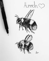 Handgezogene Vektorkafer Schwarz Weiss Insekten Fur Design Symbole Logo Oder Druck Zeichnen Mit Punkten Grosse Abbildung Stock Abbildung Illustration Von Vektorkafer Schwarz 162439994