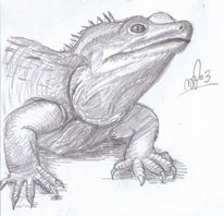 Gecko Tiere Zeichnen Kinder Verbinden Die Punkte Eidechse Premium Vektor