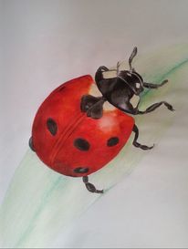 Skizzenbuch Marienkafer Einhorn Lustiges Einhorn Skizzenbuch Ideal Fur Skizzen Zeichnen Malen Und Kreative Ideen Din A4 8 5 X 11 Toller Einhorn Artikel Und Einhorn Geschenk Idee Amazon De Publishing Mein Buntes