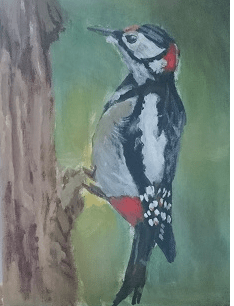 Woody Der Specht Von Sevenka Emma Fisher Zeichnungen Zu Malen Papaleguas Desenho Cartoons Desenho Desenhos Animados