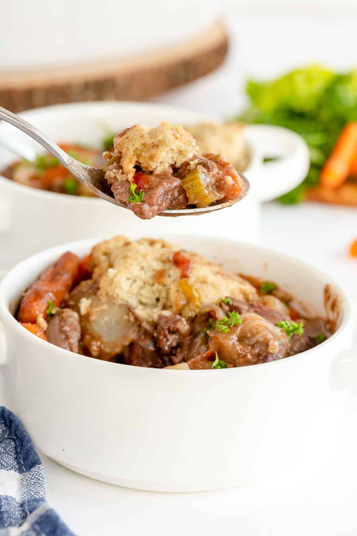 Beef stew with dumplings (slow cooker recipe)