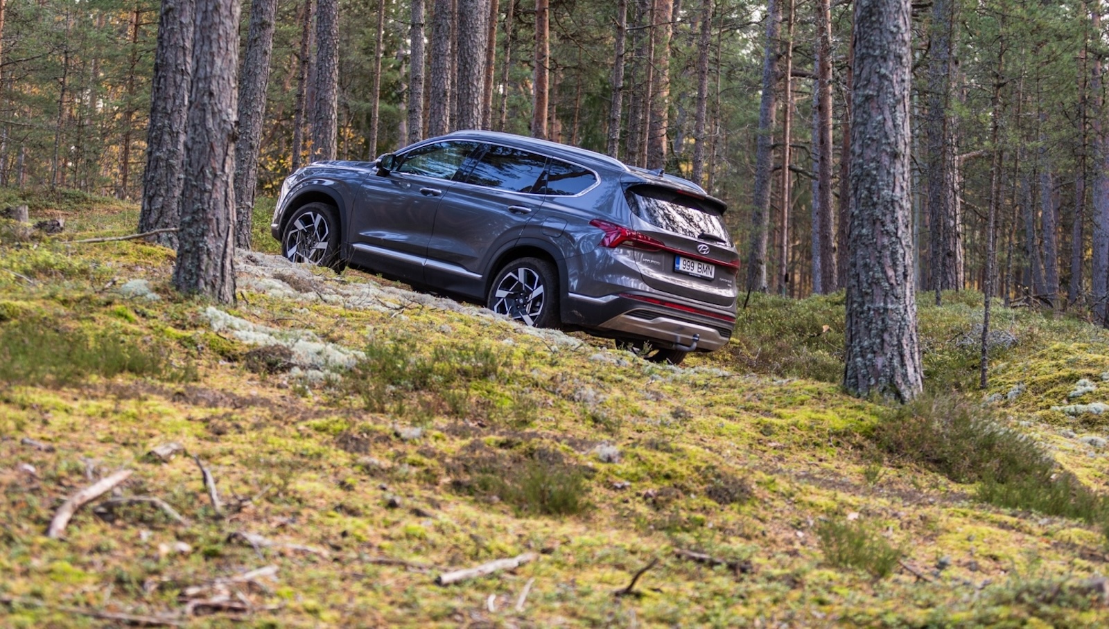 Foto: www.autobassadone.ee