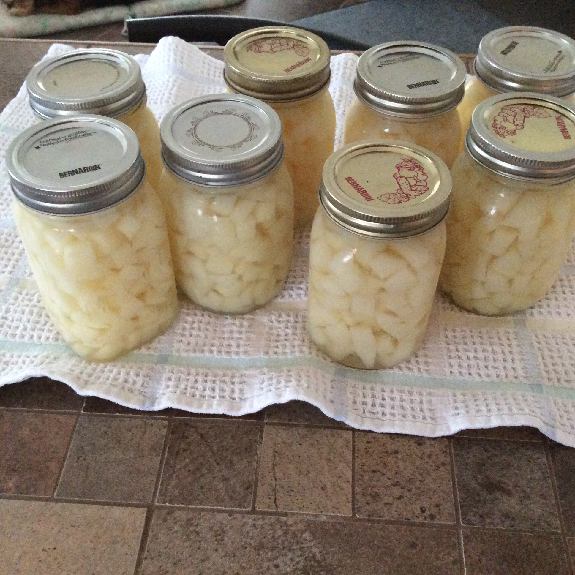 Mise en conserve de pommes de terre – Bienvenue