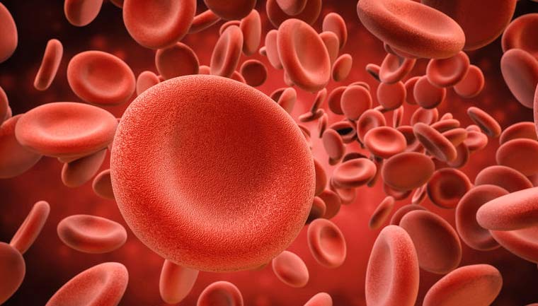 ᐅ Erythrozyten (rote Blutkörperchen): Was dieser Blutwert bedeutet