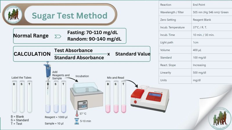 Fasting Sugar Test Lab Tests Guide - Best Mountain Designs in Full HD