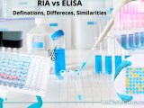 Difference Between Ria And Elisa Lab Tests Guide