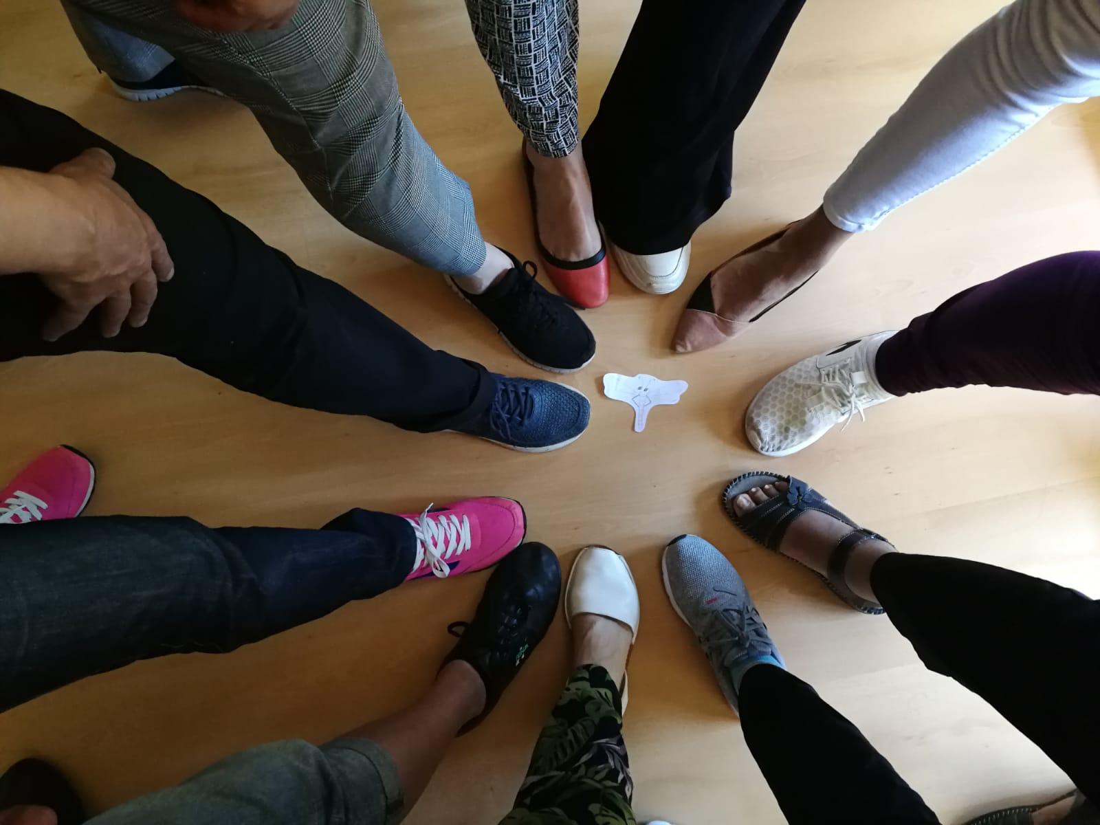 Programa Volvoreta 2019/2020