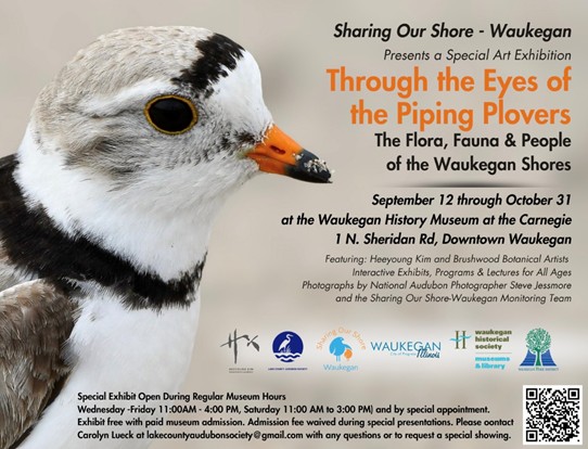 Through the Eyes of the Piping Plovers @ Waukegan History Museum @ Waukegan History Museum | Waukegan | Illinois | United States