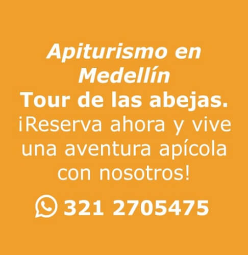 tour de abejas web mayo 2023