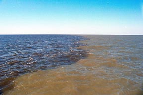FLOYD DEAD ZONE
