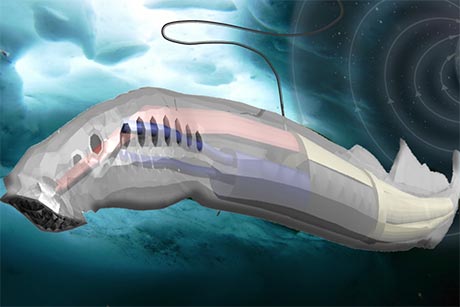 poisson-robot-lune-europe-jupiter
